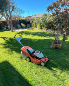 155A6288-DCC7-4F03-B986-8EEFC965A075