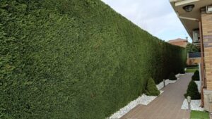 c67fb0f7-f7d9-45c6-8c69-80dd53a19297