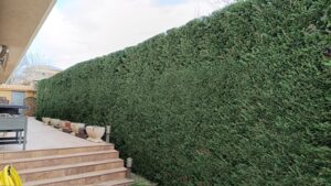 d8442df3-99de-4b01-8f8d-535d98e2b215 (1)